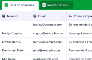 Registro de opiniones de los clientes Plantilla de Hoja de Cálculo