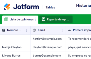 Registro de opiniones de los clientes Template
