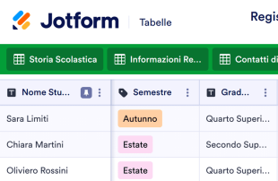 Registro Informazioni Studenti Modello di foglio di calcolo