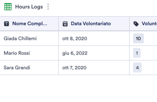 Registro Ore di Volontariato Modello di foglio di calcolo