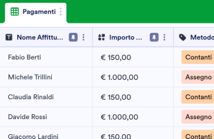 Registro Pagamento Quote di Affitto Modello di foglio di calcolo