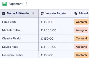 Registro Pagamento Quote di Affitto Modello di foglio di calcolo