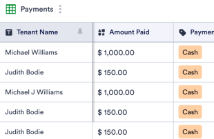Rental Payment Log Template