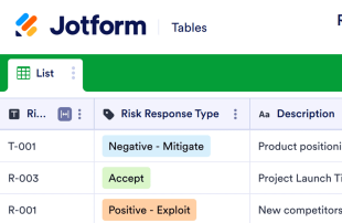 Risk Management Log Template