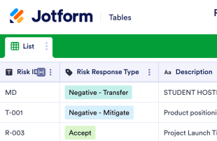 Risk Management Log Template