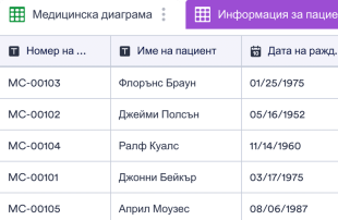 Шаблон на медицинска диаграма Spreadsheet Template
