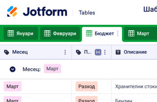 Шаблон за месечен бюджет Template
