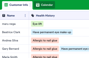 Salon Appointment Calendar Spreadsheet Template