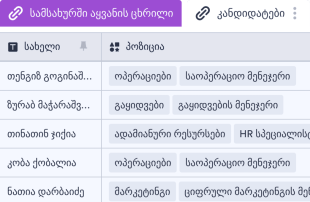 სამსახურში აყვანის ცხრილი Spreadsheet Template