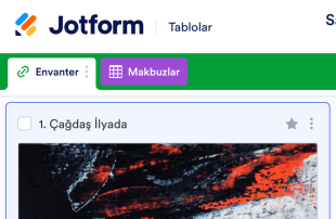 Sanat Envanteri Tablo Şablonu