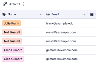 Scheda di Attività degli Studenti Template