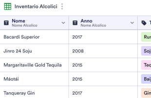 Scheda di Inventario Alcolici Modello di foglio di calcolo