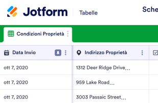 Scheda di Inventario Proprietà Template