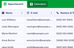 Scheda di Registrazione al Salone Modello di foglio di calcolo