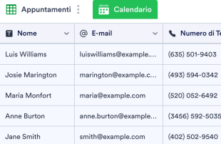 Scheda di Registrazione al Salone Template