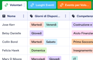 Scheda di Registrazione Volontari Modello di foglio di calcolo