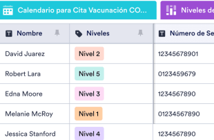 Seguimiento de Vacunación COVID-19 Template