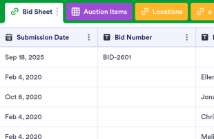 Silent Auction Bid Spreadsheet Template
