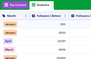 Social Media Analytics Template Spreadsheet Template
