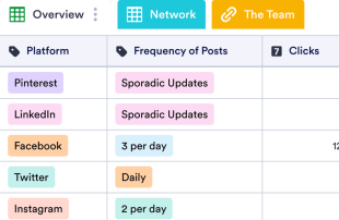 Social Media Audit Template Spreadsheet Template