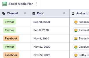 Social Media Plan Template