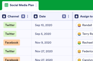 Social Media Plan Template Spreadsheet Template