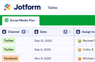 Social Media Plan Template