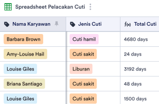 Spreadsheet Pelacakan Liburan dan Hari Sakit Sheet Template
