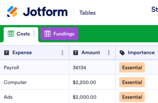 Startup Budget Template