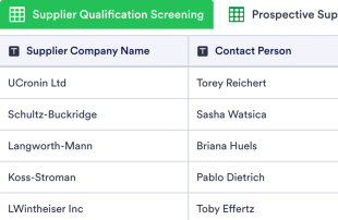 Supplier Onboarding Template