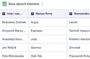 Szablon Bazy Danych Klientów Template