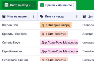 Таблица за приемане на пациенти Spreadsheet Template
