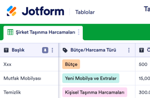 Taşınma Bütçe Tablo Şablonu