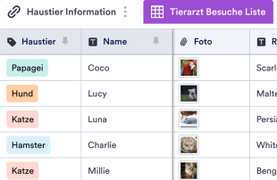Tracker für Tierarztbesuche Tabellenvorlage