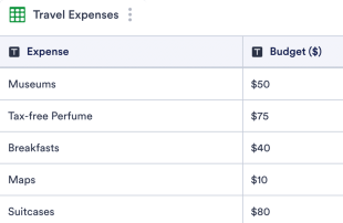 Travel Budget Template