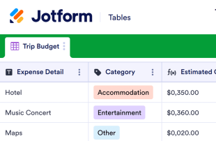 Trip Budget Template