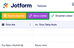 Ürün Envanteri Tablosu Template