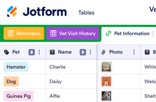 Veterinarian Visit Tracker Spreadsheet Template