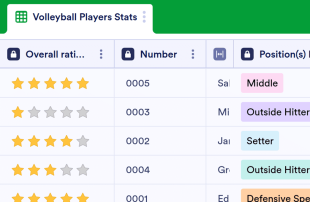 Volleyball Player Stats Spreadsheet Template