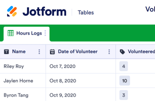 Volunteer Hours Log Spreadsheet Template