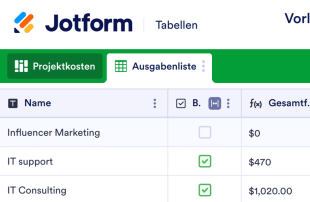 Vorlage für Ausgabenbericht Tabellenvorlage