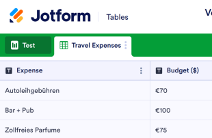 Vorlage für Reisebudget Tabellenvorlage