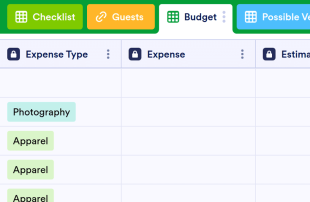 Wedding Planner Template Spreadsheet Template