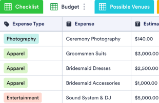 Wedding Planner Template Spreadsheet Template