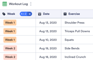 Workout Log Spreadsheet Template