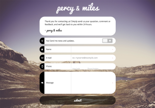 Fancy icons and inputs