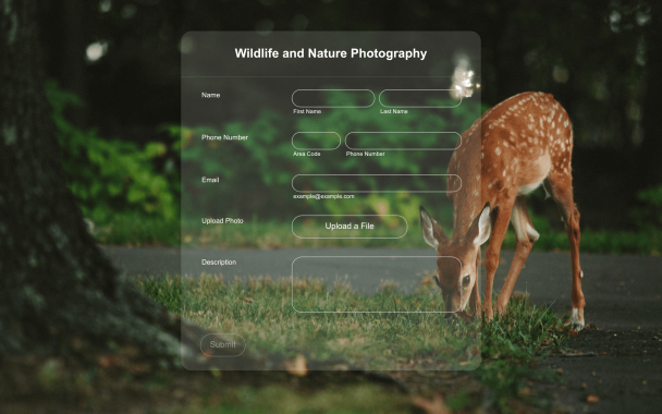 Deer - Theme Poster