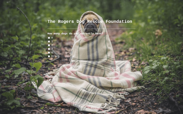 Dog Rescue - Theme Poster