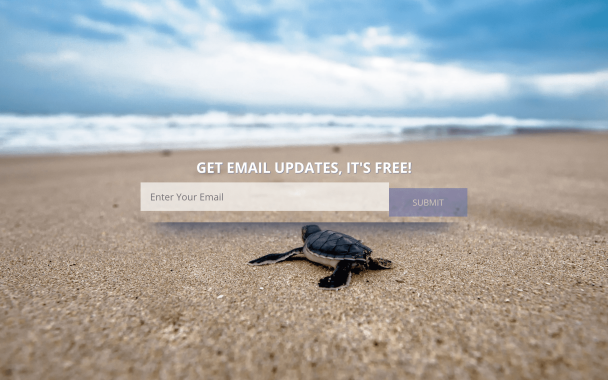 Email Newsletter - Theme Poster