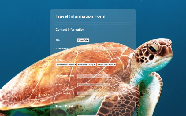 Marine Turtle Magic - Theme Poster